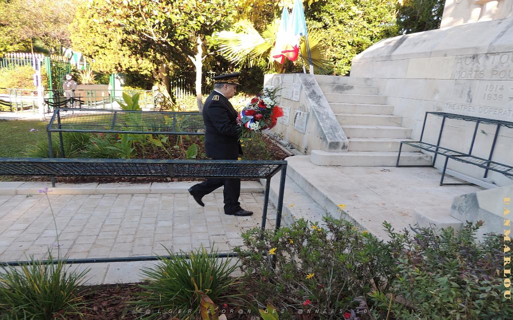 2025 12 05 TOULON HOMMAGE AUX MORTS POUR LA FRANCE EN AFN (67).jpg